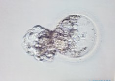 Embie #4_Roz &amp; Ken